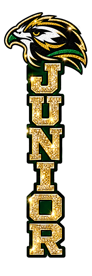 Junior — Birdville Hawks UV design