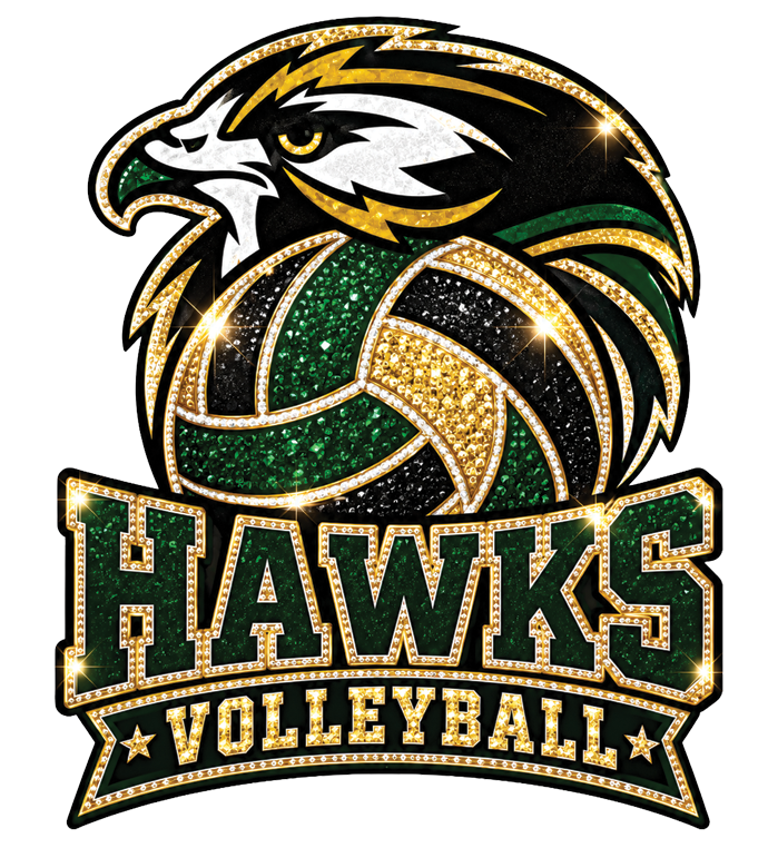 Hawks Volleyball Logo — Birdville Hawks UV design