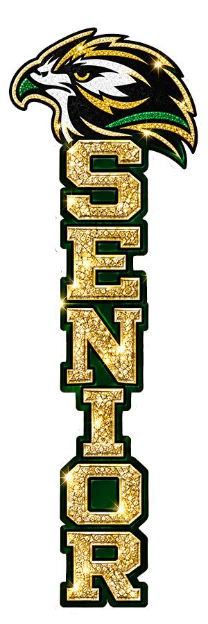 Senior — Birdville Hawks UV design