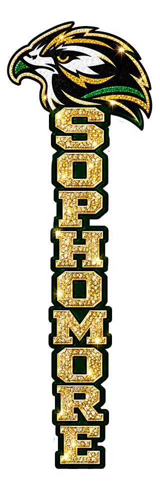 Sophomore — Birdville Hawks UV design