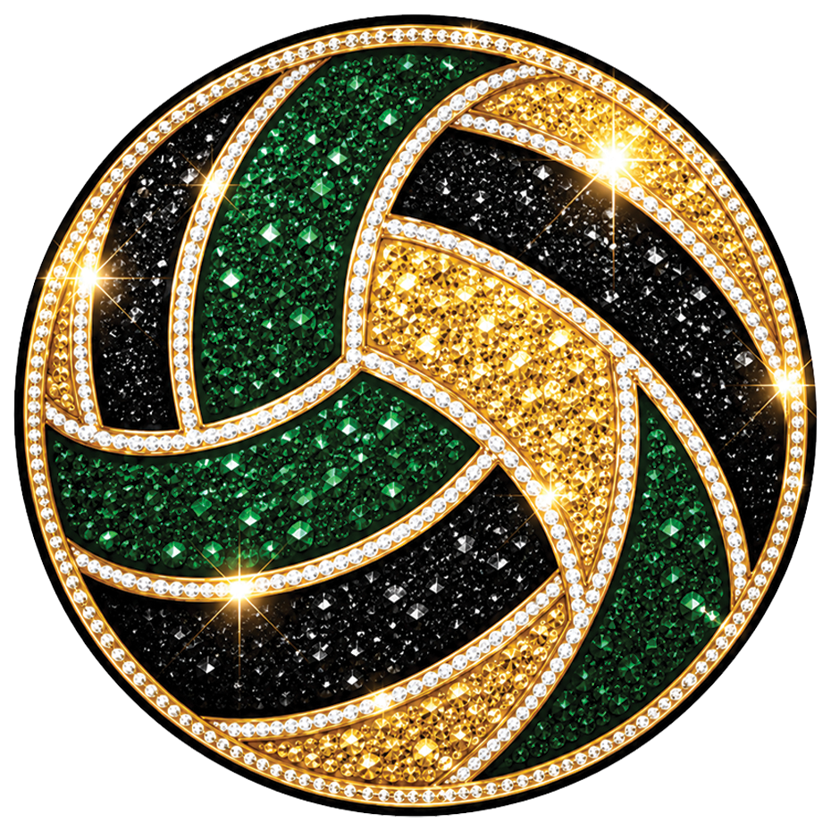 Volleyball — Birdville Hawks UV design
